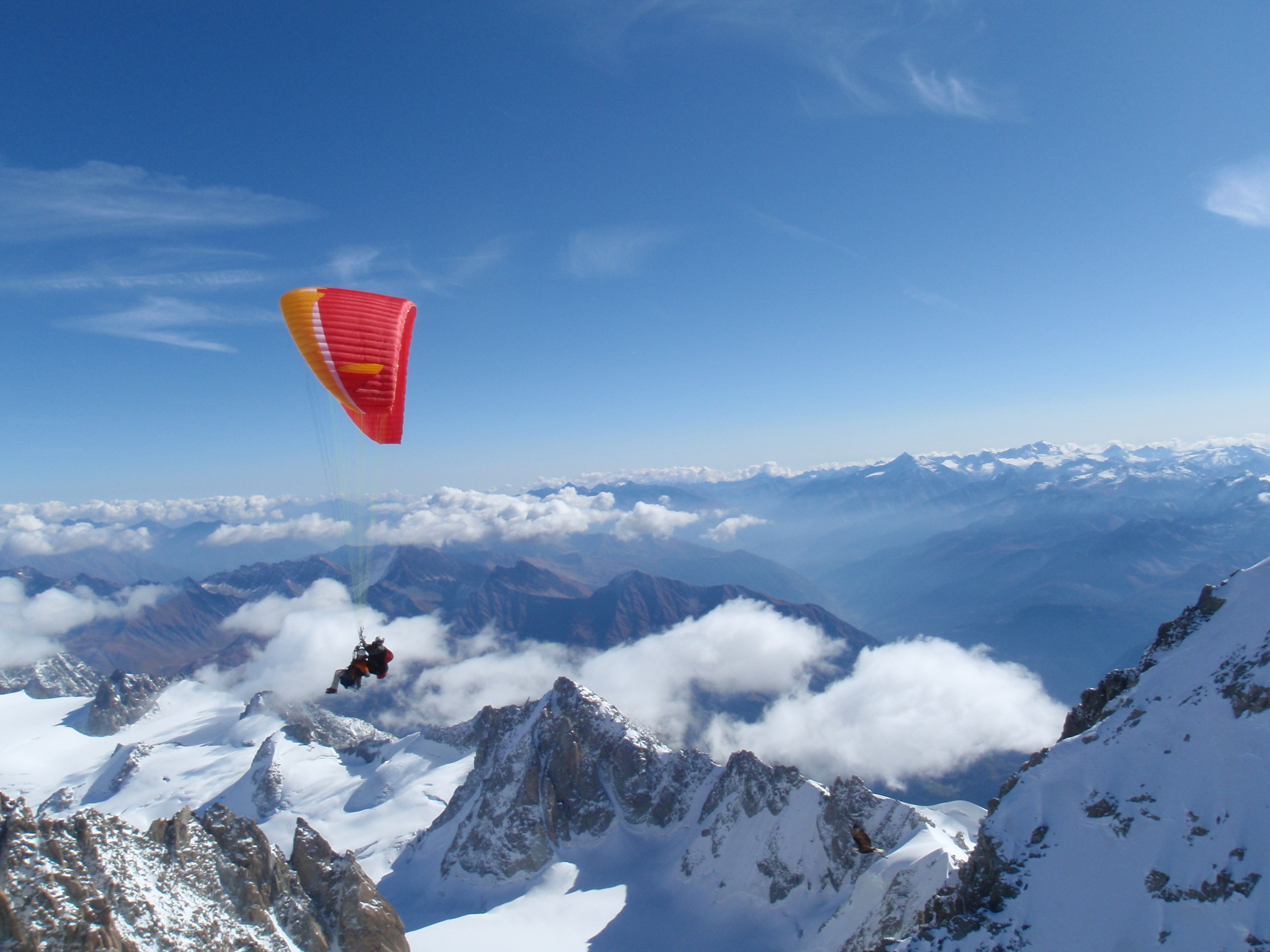 vol avec un aigle au mont blanc