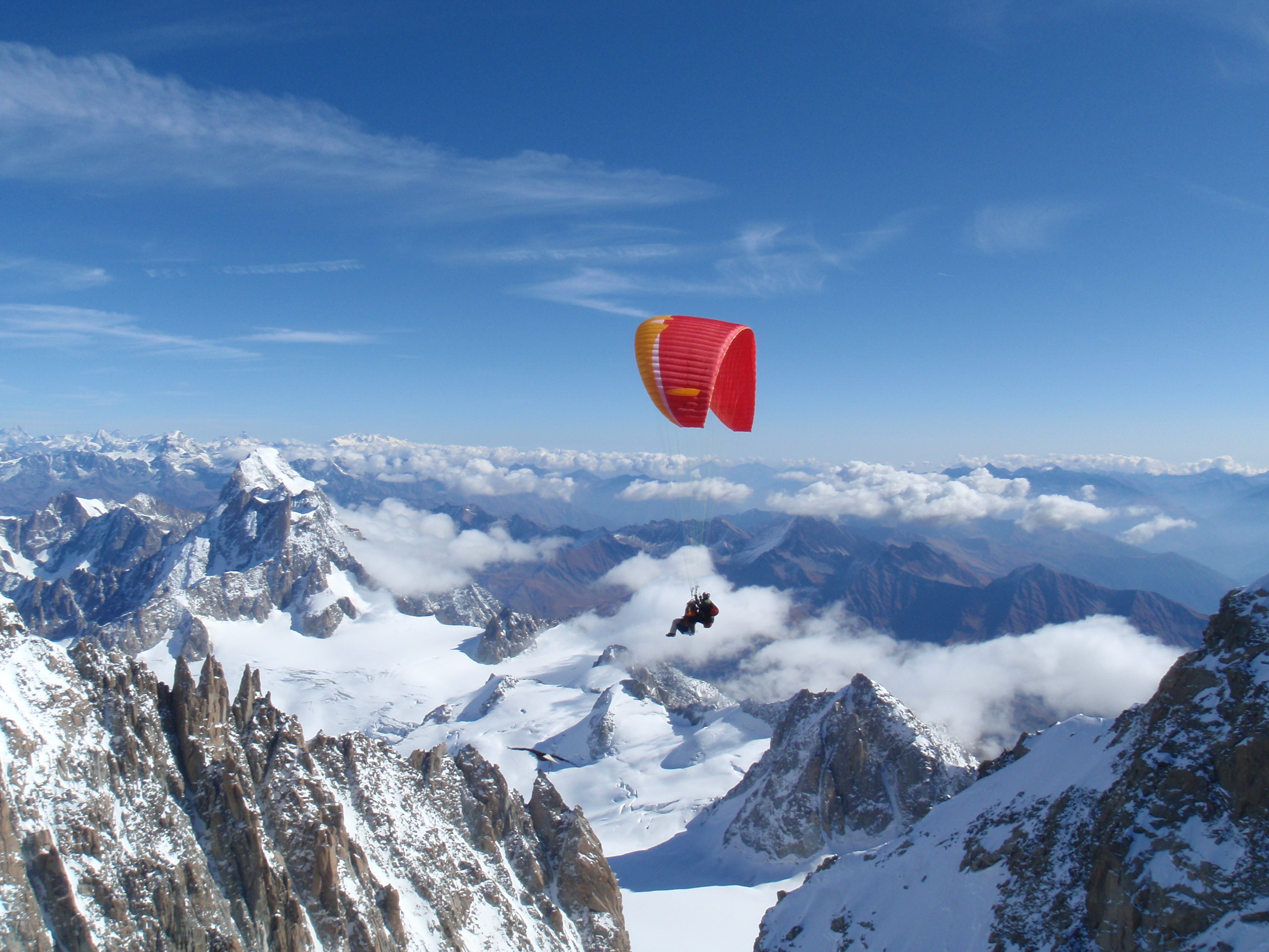 vol avec un aigle au mont blanc