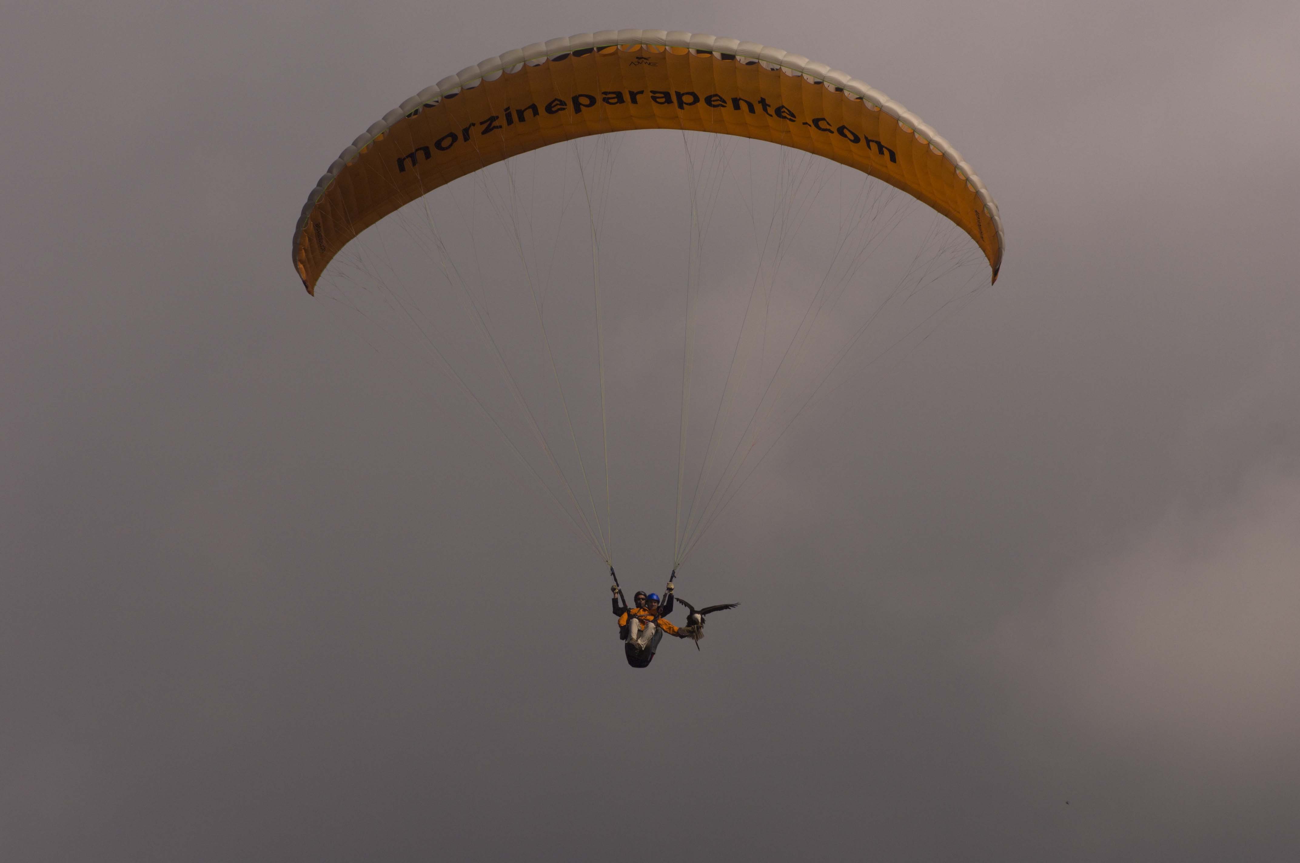 parapente -morzine.com